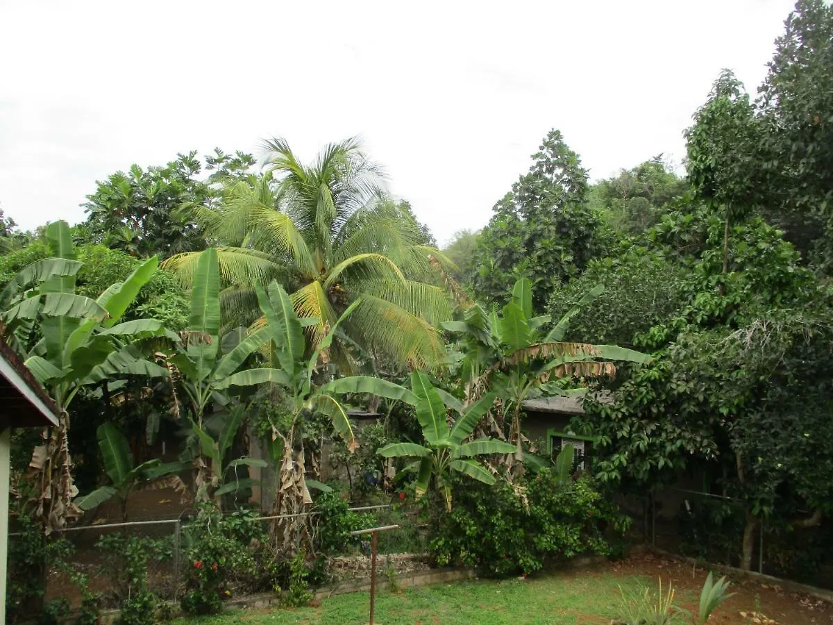 ** Bed & Breakfast Ritashomeawayfromhome Ocho Rios Jamaica